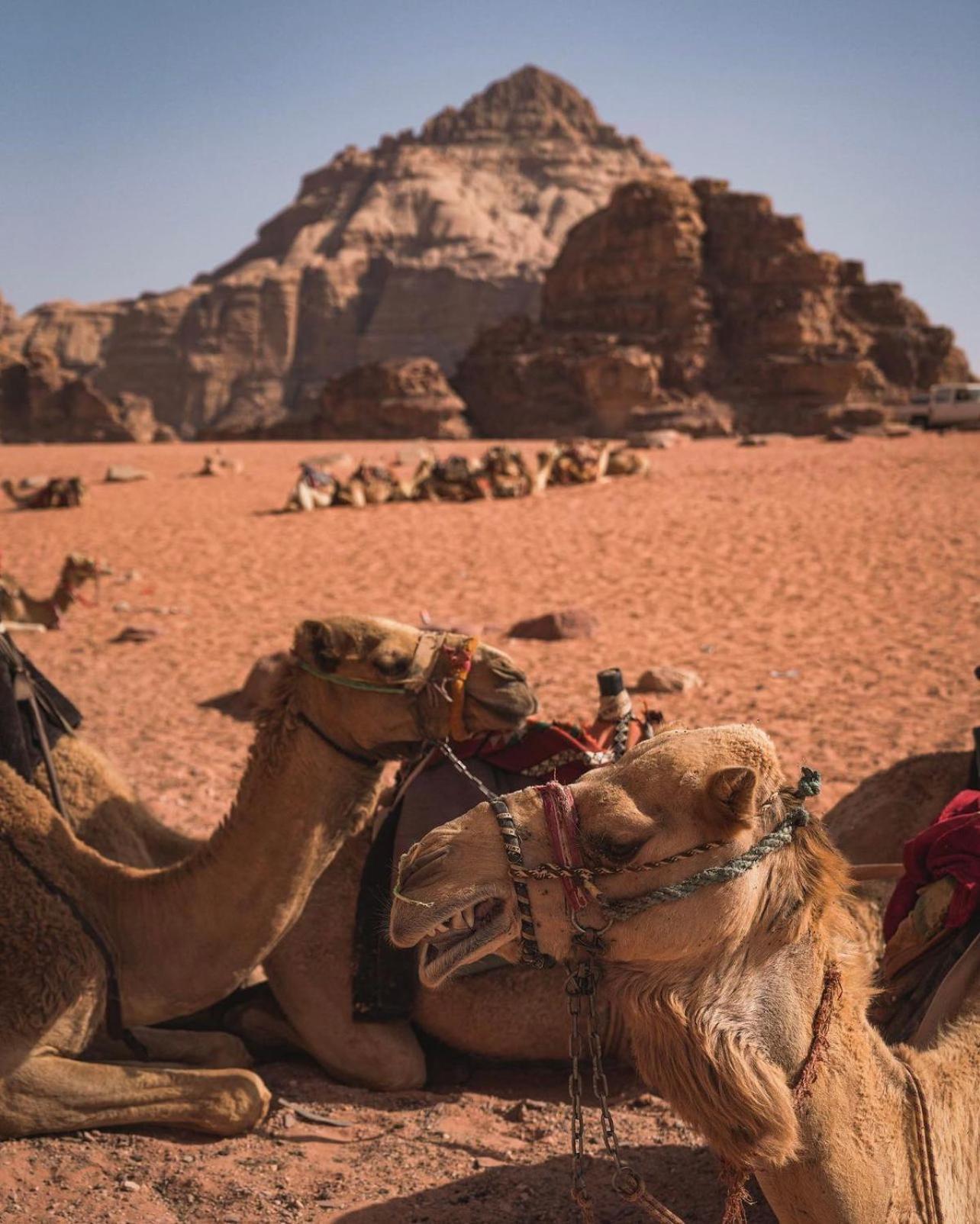 Rum Magic Luxury Camp Wadi Rum Luaran gambar